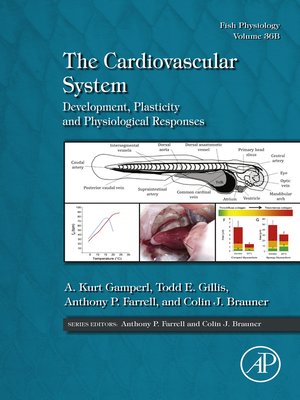 cover image of The Cardiovascular System